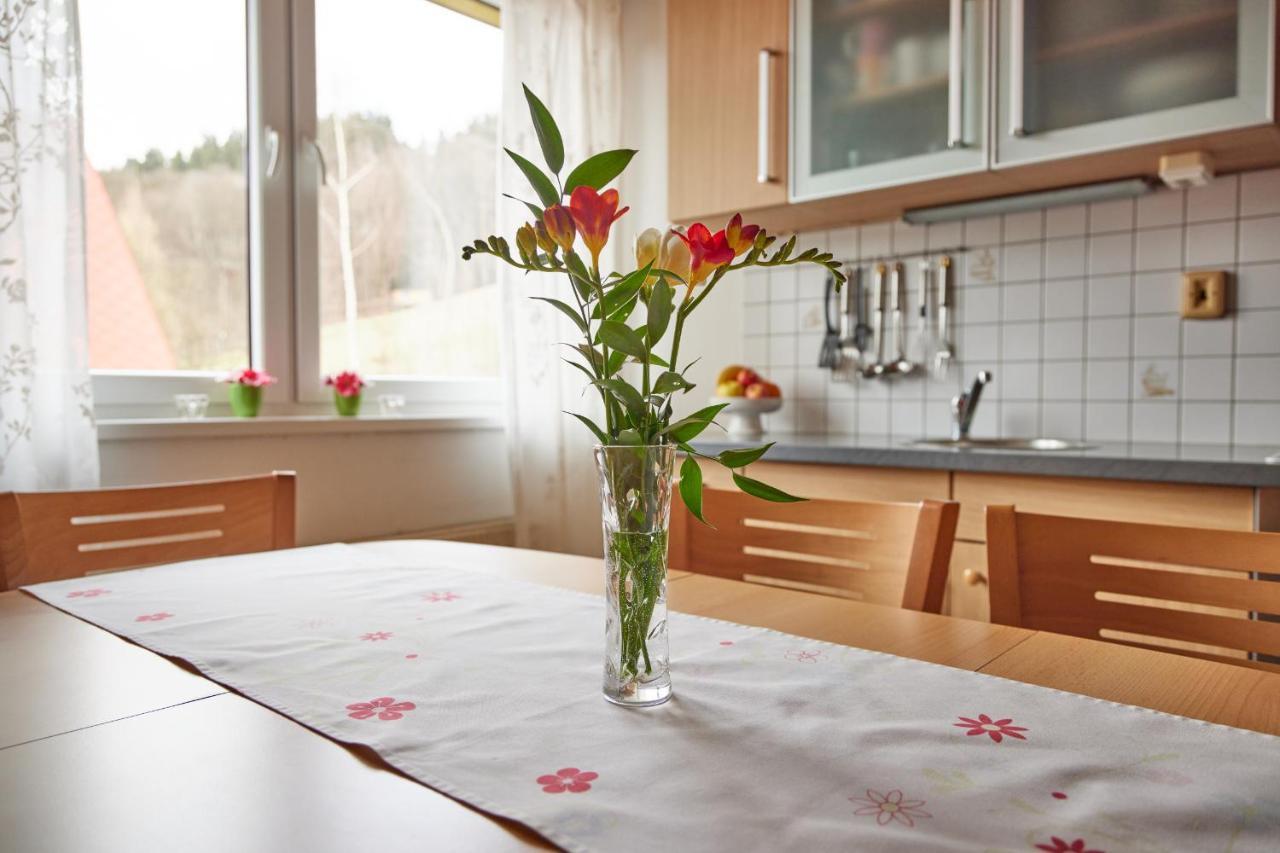 Apartman Svoboda Svoboda nad Upou Bagian luar foto