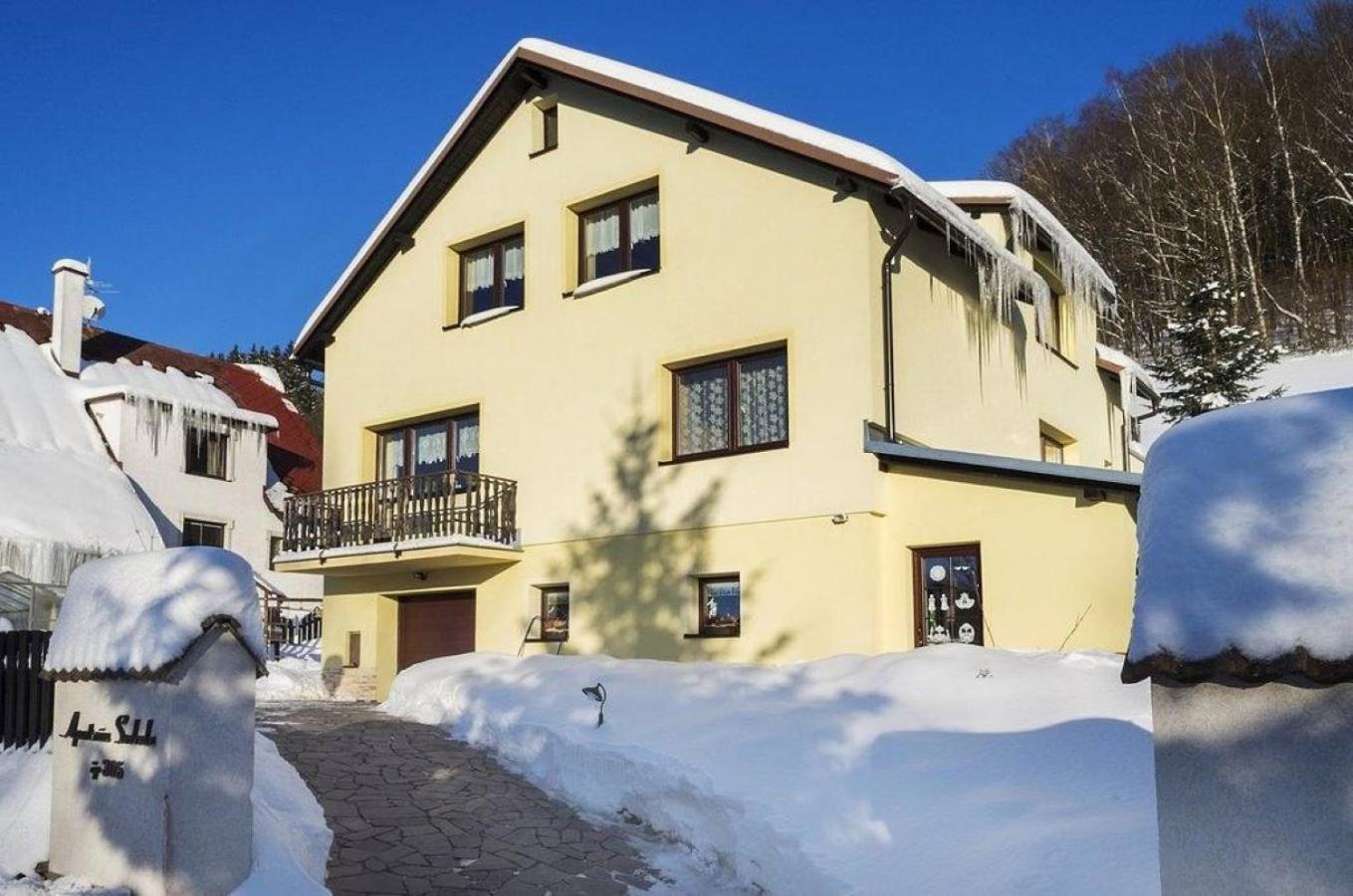Apartman Svoboda Svoboda nad Upou Bagian luar foto